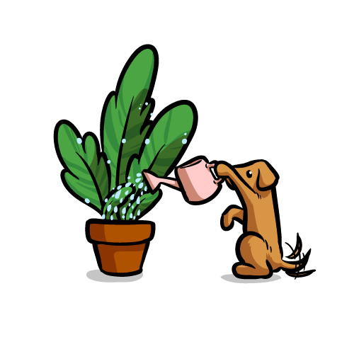 Modificación de conducta canina