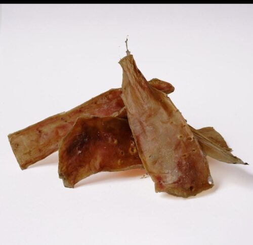 Aorta para perros - Image 2